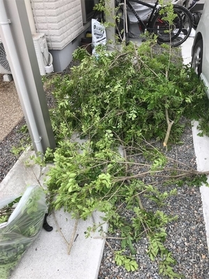 20190514135438